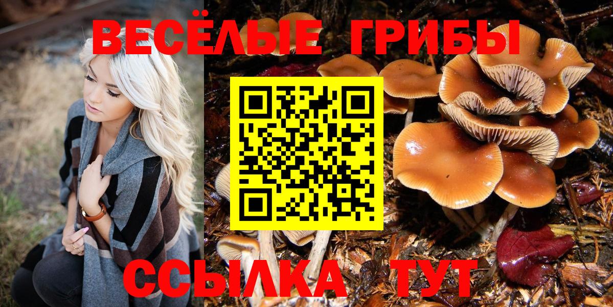 Галлюциногенные грибы мицелий Малгобек